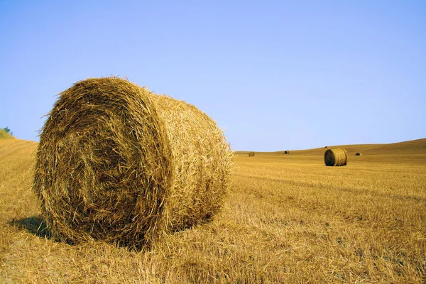 Agricoltura Raccolta Campi Balle Paglia — Foto Stock