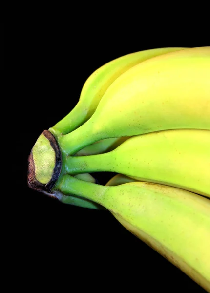 Banány Tropické Ovoce Jídlo — Stock fotografie