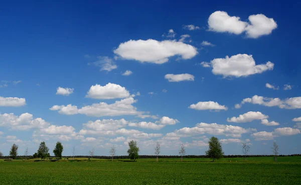 Vacker Utsikt Över Naturen — Stockfoto