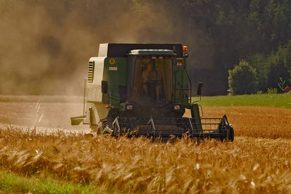 秋の収穫 選択的焦点 — ストック写真