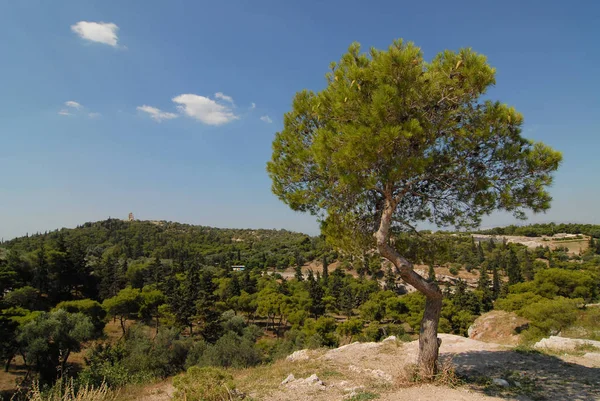 Greek Landscape Athens — Stock Photo, Image