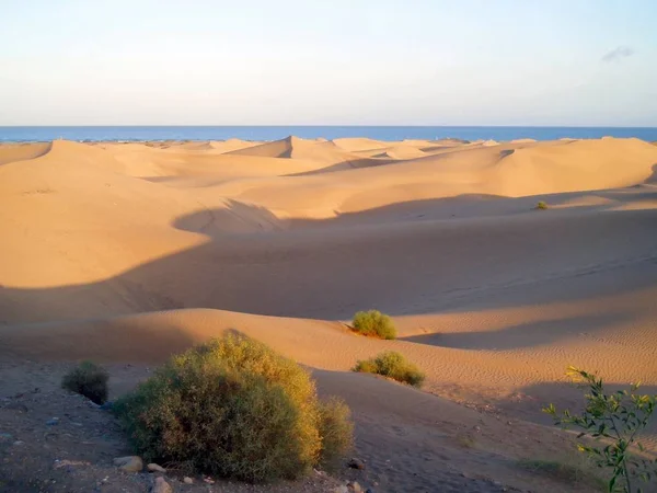 Vista Panorámica Las Dunas Enfoque Selectivo — Foto de Stock