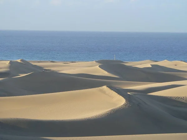 Scenic View Dunes Selective Focus — Stock Photo, Image