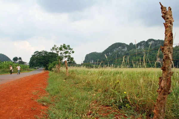 Country Road Cuba Valle Vinales — Stock Photo, Image