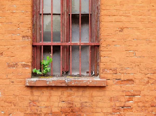レンガの壁を持つ古い窓 — ストック写真