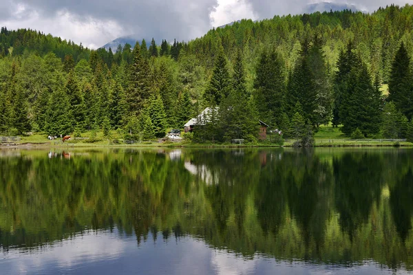 Piękny Widok Scenę Natury — Zdjęcie stockowe