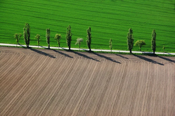 Billedlig Utsyn Naturmiljøet – stockfoto