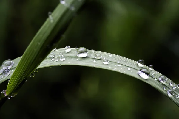 Pittoresk Uitzicht Natuur — Stockfoto