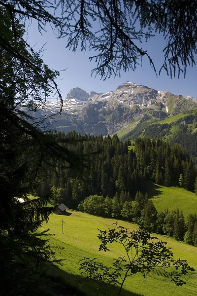 Ορεινό Πανόραμα Του Oberried Vom Metsch — Φωτογραφία Αρχείου