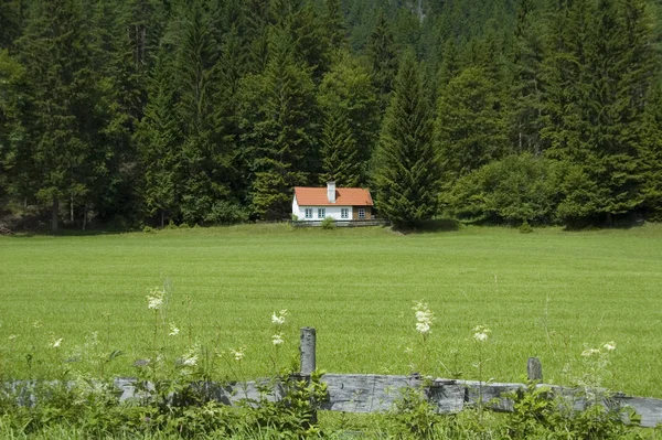 Kis Ház Erdő Közelében — Stock Fotó