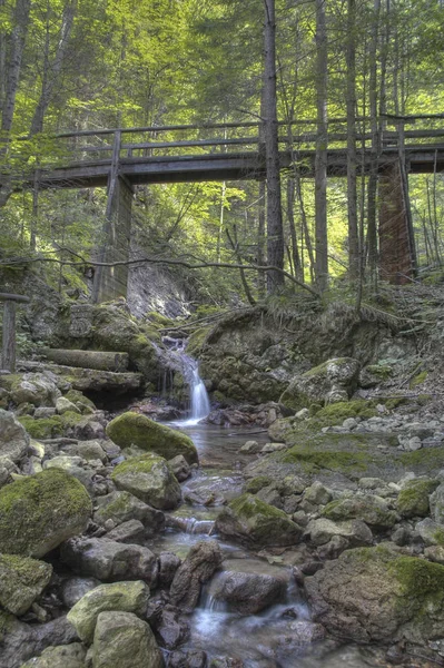 Nature Park Schwarzau Gebirge — 스톡 사진