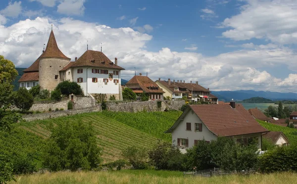 Castillo Pueblo Erlach Switzerland —  Fotos de Stock