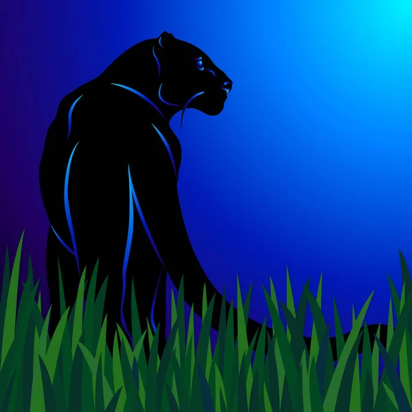 Silhouette Chien Sur Fond Bleu — Photo