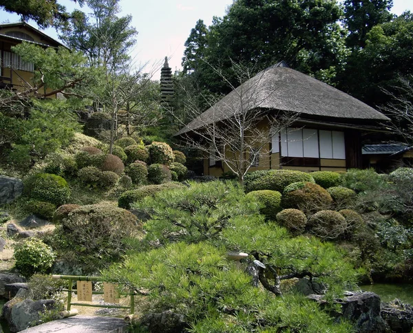 Japansk Trädgård Naturflora — Stockfoto