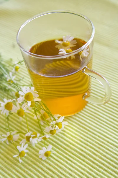 Ромашковый Чай Травяной Напиток — стоковое фото