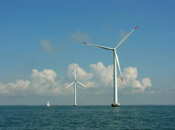 Little Wind Windmills Turned Were Astonished Two Got Wind Different — Stock Photo, Image