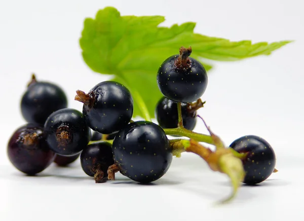 Vegetarisk Mat Selektivt Fokus — Stockfoto