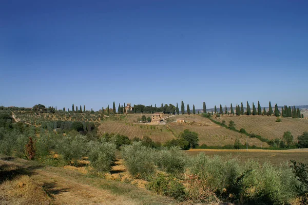 Paesaggio Bella Natura — Foto Stock