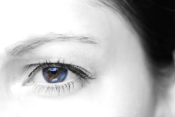 Siyah Beyaz Bir Kadın Gözünün Yakın Çekimi — Stok fotoğraf