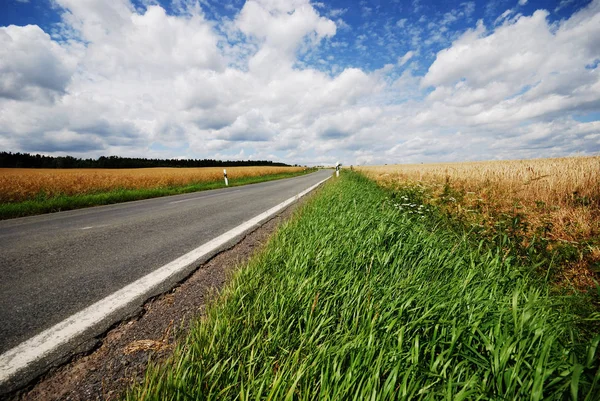 Vista Panoramica Sulla Campagna Attenzione Selettiva — Foto Stock