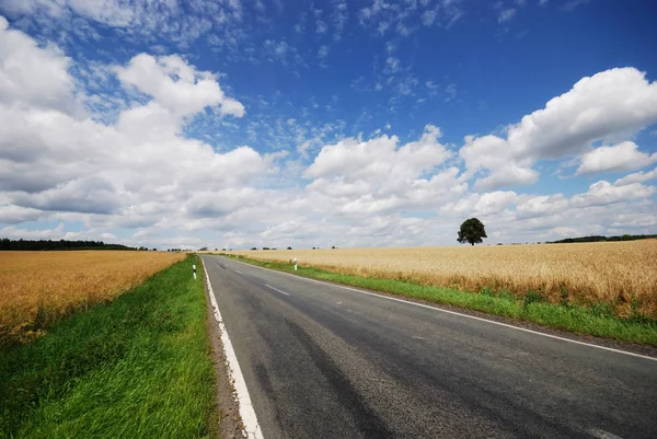 Asfalto Estrada Superfície Distância Caminho — Fotografia de Stock