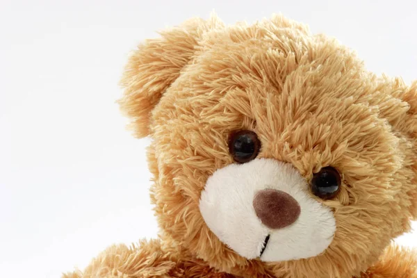 Teddy Bear Toy — Stock Photo, Image