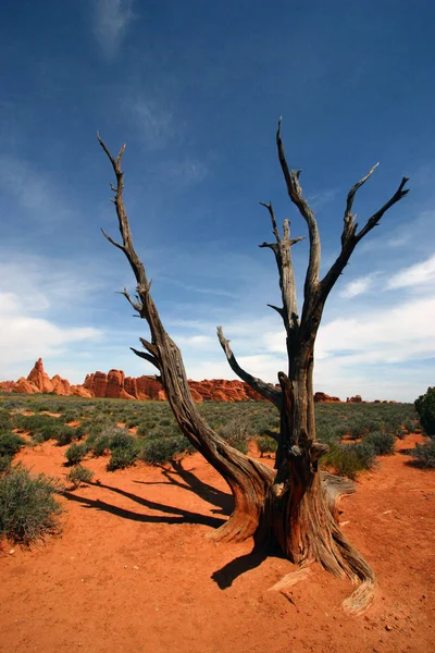 Arches Nationalpark Vereinigte Staaten — Stockfoto