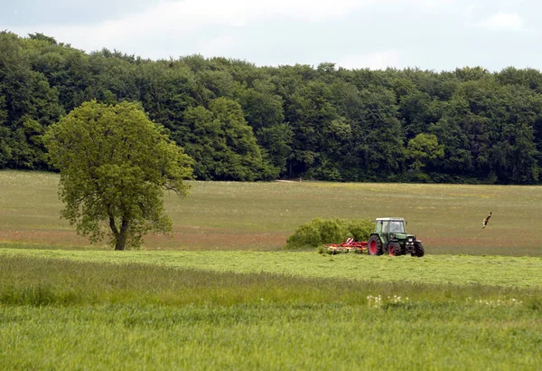 Landbouw Voedingsmiddelenindustrie — Stockfoto