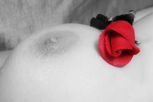 Rosa Vermelha Uma Máscara Fundo Preto — Fotografia de Stock