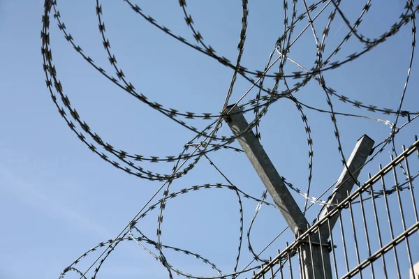 Barbed Wire Fence Blue Sky — Stock Photo, Image