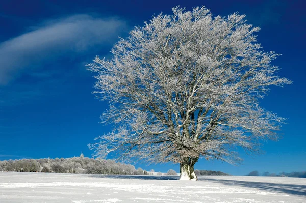 Snow Covered Winter Landscape — Stock Photo, Image
