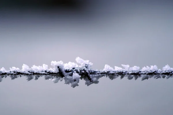 Paisaje Invernal Con Árboles Cubiertos Nieve — Foto de Stock