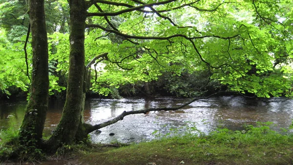 Widok Wieś Irlandia — Zdjęcie stockowe