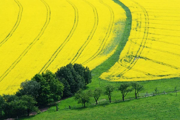 Platteland Landbouwgrond — Stockfoto