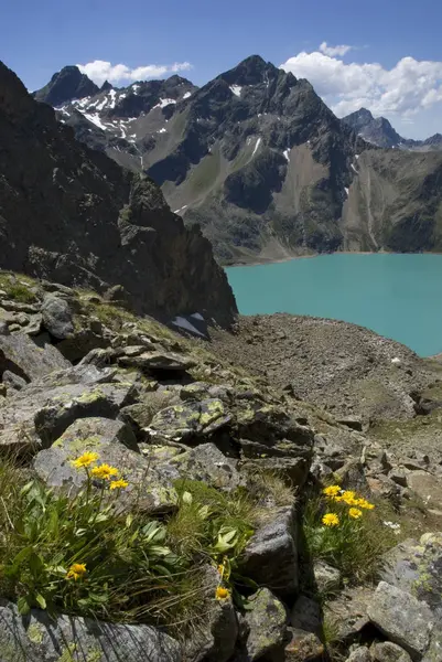 Vue Panoramique Sur Magnifique Paysage Alpin — Photo