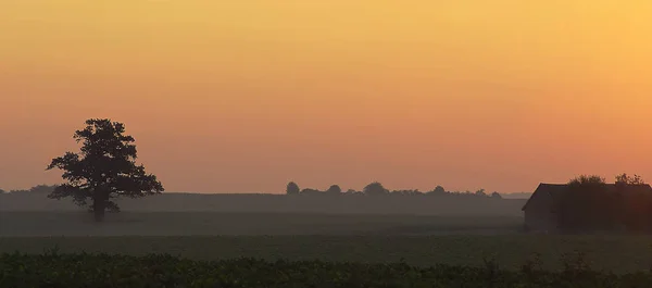 Malerischer Blick Auf Die Natur — Stockfoto