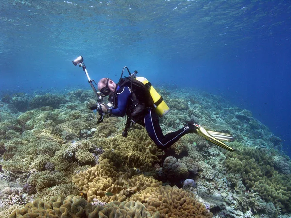 Photographer Housing Slr Camera Fisheye Flash Devices Coral Sulawesi Indonesia — Stock Photo, Image