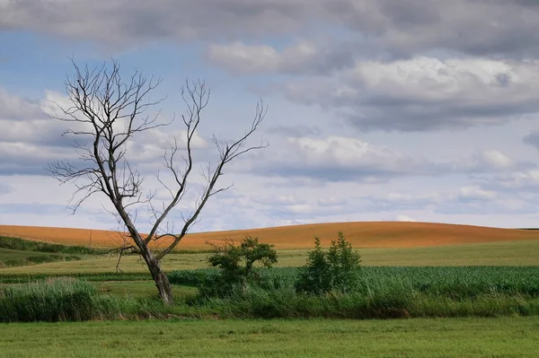 Baviera Com Área Terra Composta Por Cerca Quinto Área Total — Fotografia de Stock