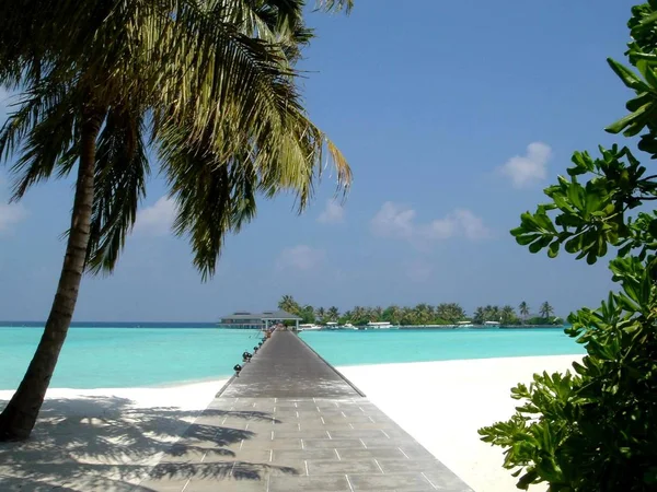 Paraíso Vacaciones Maldivas Isla — Foto de Stock