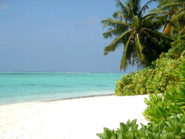 Maldives Officially Republic Maldives Small Island Nation South Asia — Stock Photo, Image