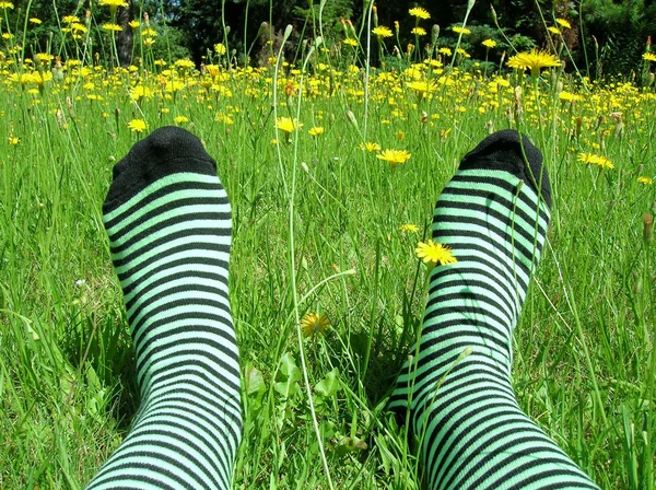 Ноги Женщины Зеленая Трава Концепция Летнего Отдыха — стоковое фото