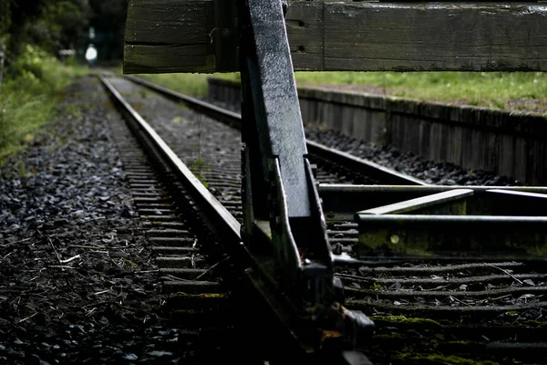 Viejo Ferrocarril Bosque — Foto de Stock