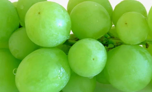 Зеленый Белый Виноград — стоковое фото