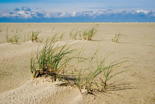 Prachtig Tropisch Strand Landschap — Stockfoto