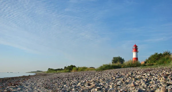 Emerged Nature Reserve — Stock Photo, Image