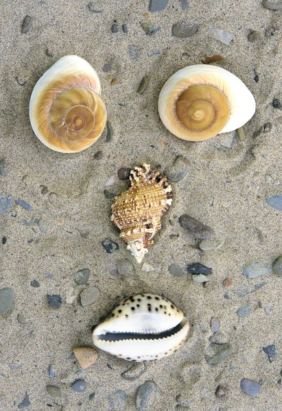 Schöne Aussicht Auf Tropischen Strand — Stockfoto