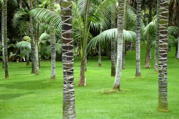 Hermosa Vista Del Paisaje Natural — Foto de Stock