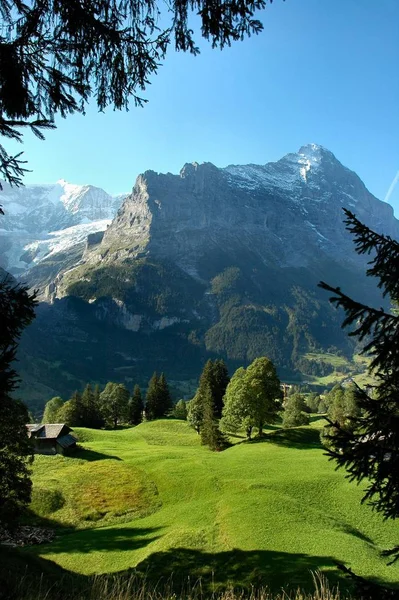 Grindelwald Birinci Kaleye Ilerle — Stok fotoğraf