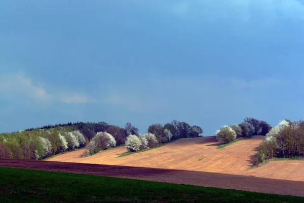 Luz Sobre Campos — Fotografia de Stock