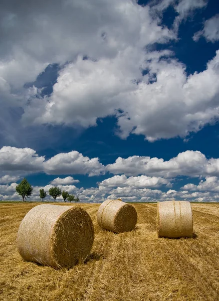 Landschappelijke Visie Landbouw Het Platteland — Stockfoto